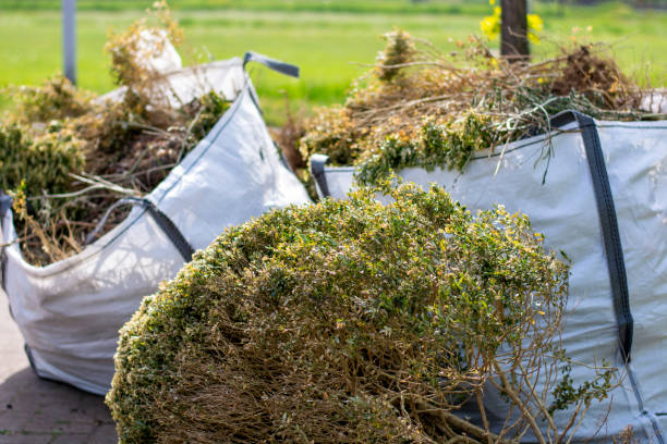 Attic Cleanout Services in Clio, AL