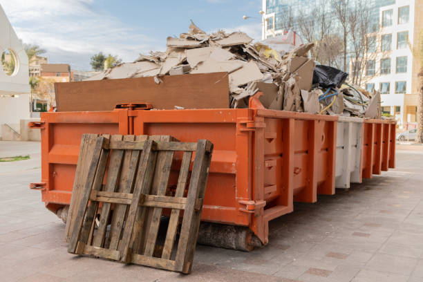 Best Professional Junk Removal  in Clio, AL